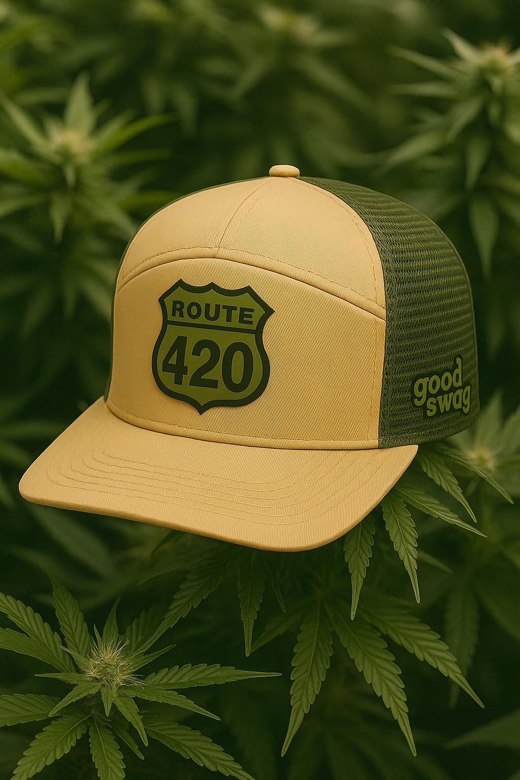 Route 420 Cap